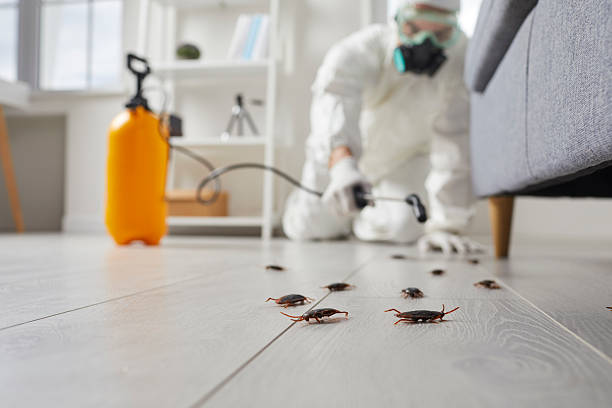 Commercial Kitchen Cockroach Control in Scotchtown